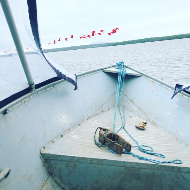 2A7B5FCF-F58A-4EDB-9F6C-ABE218857880