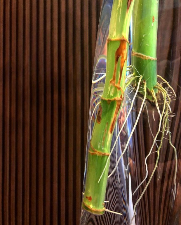 7CAC4F9C-D4FA-4268-84F0-EC944C2A7C03