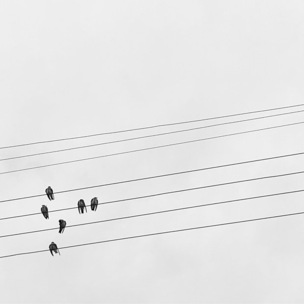 C863C3D1-997E-4D05-8D6C-29B9EA7076ED